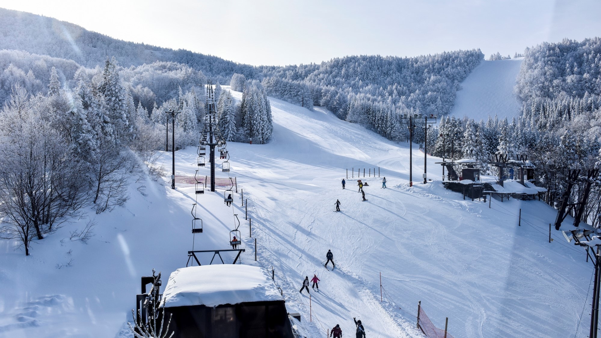 [Zao Onsen Ski Resort] Powder snow slope where you can enjoy a polygamy course