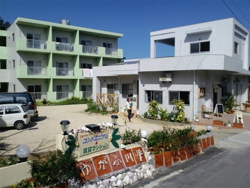 Appearance image