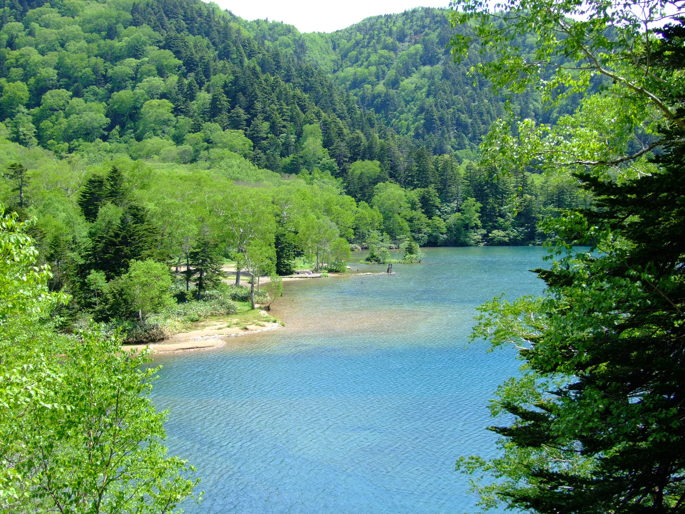 Summer Onuma Pond