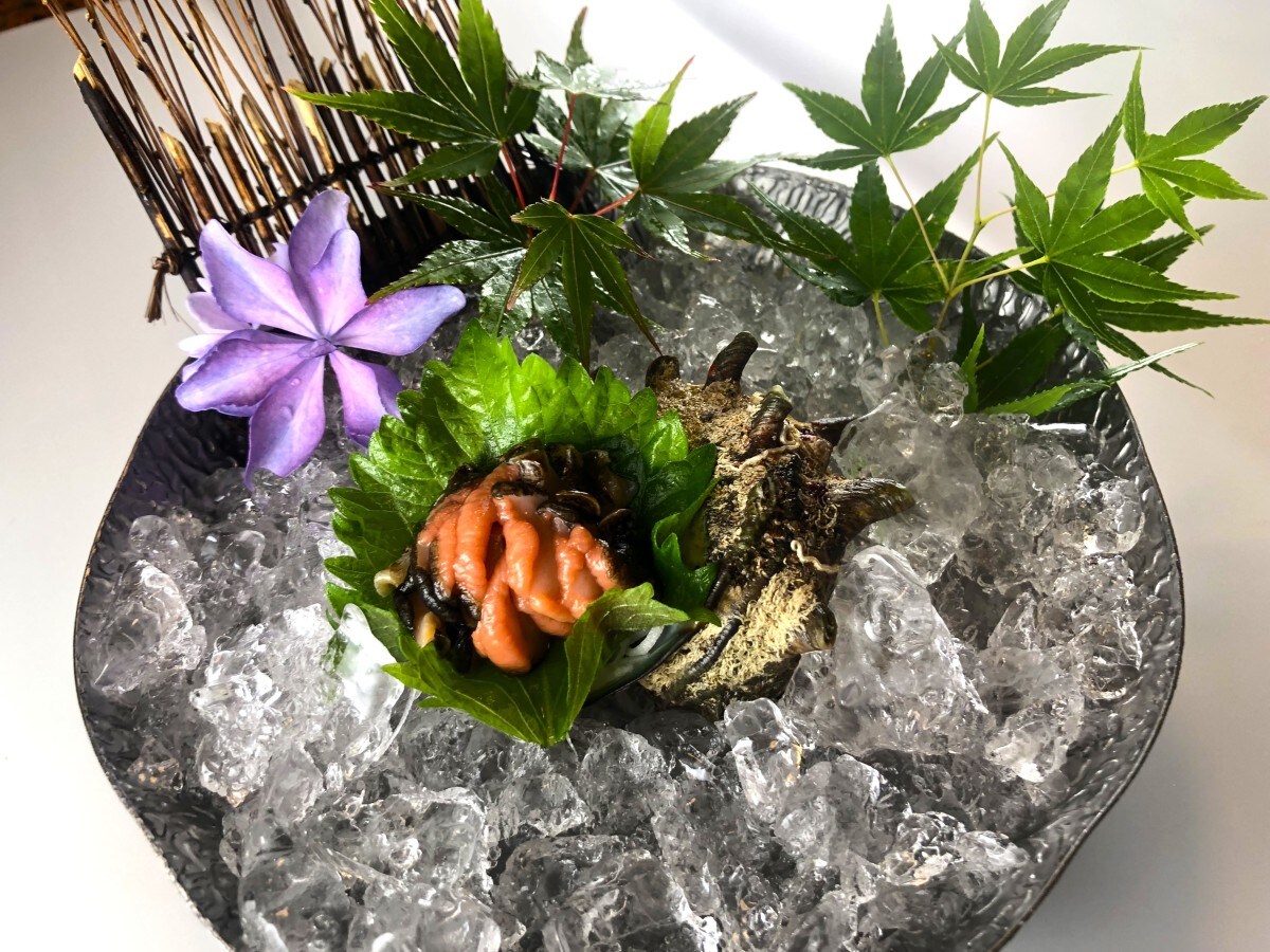 Turban shell sashimi