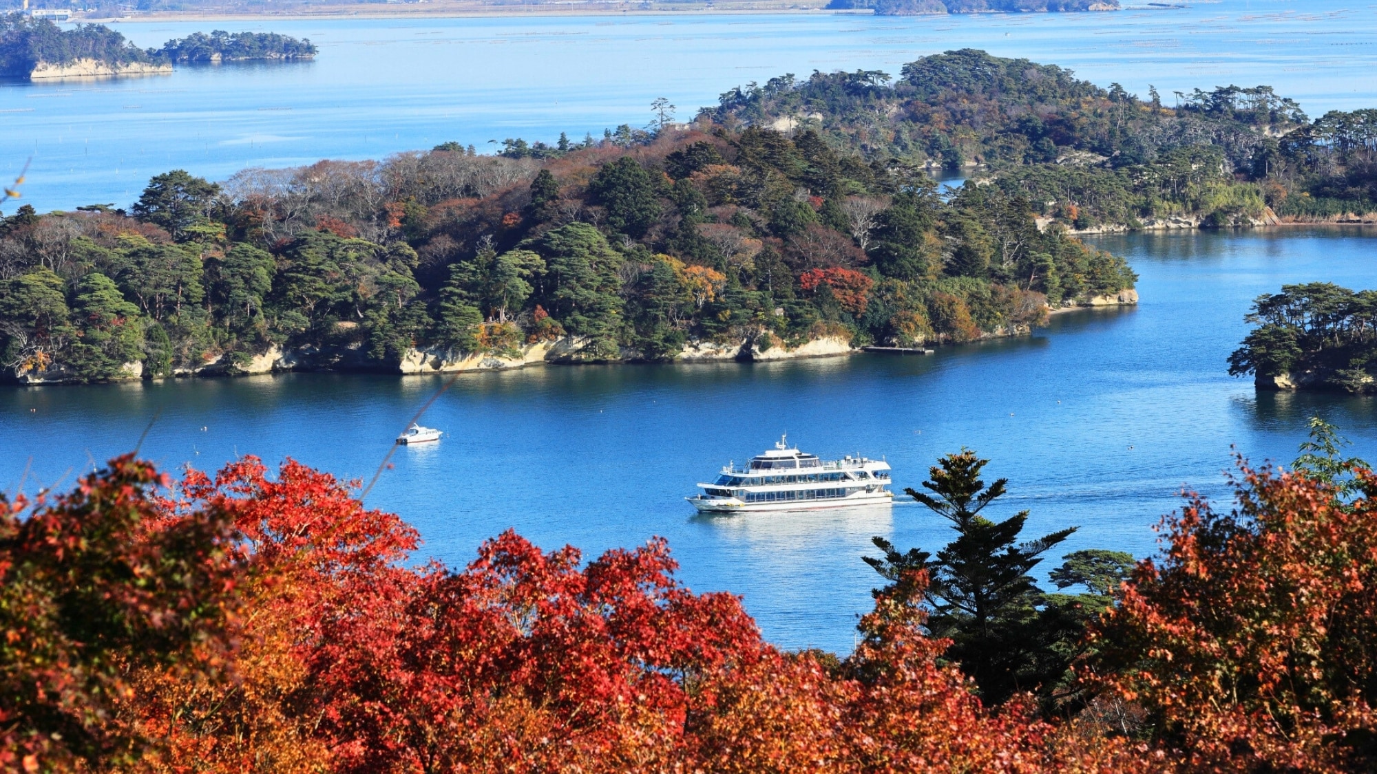 Matsushima in autumn. You can enjoy the islands, sightseeing boats on the sea, and autumn leaves all together.