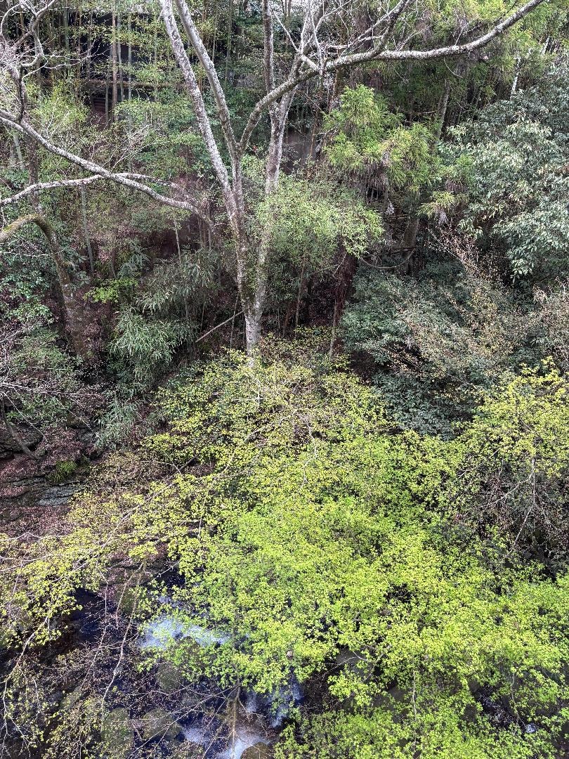 13669951-E2C4-415D-8D56-FE1E2F69CB1F.jpeg