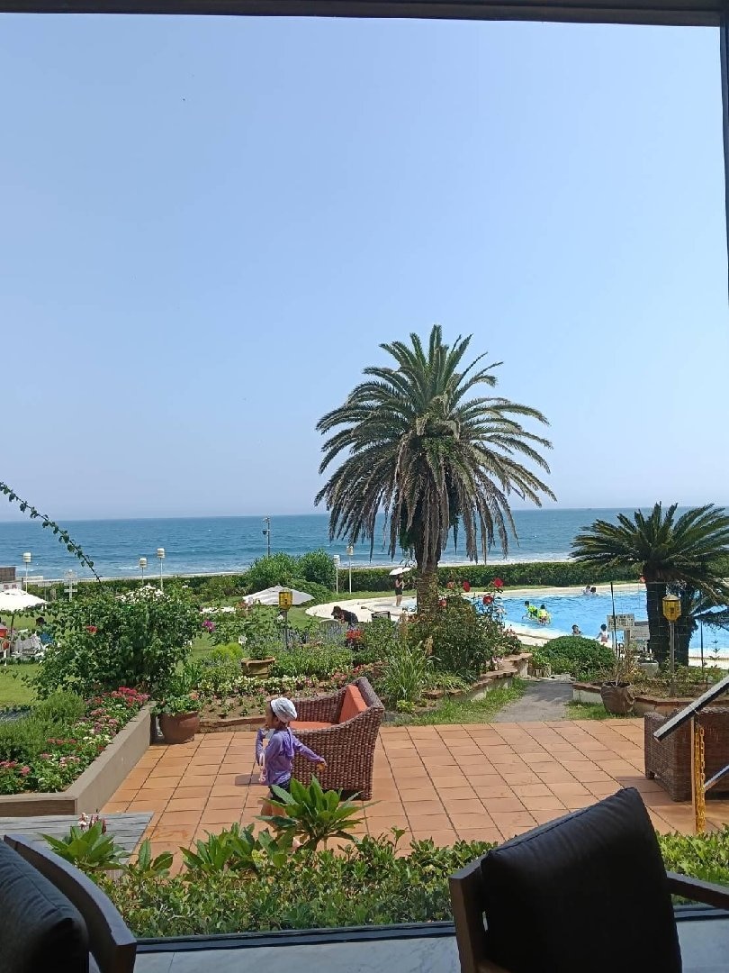 IMG_7272.jpeg