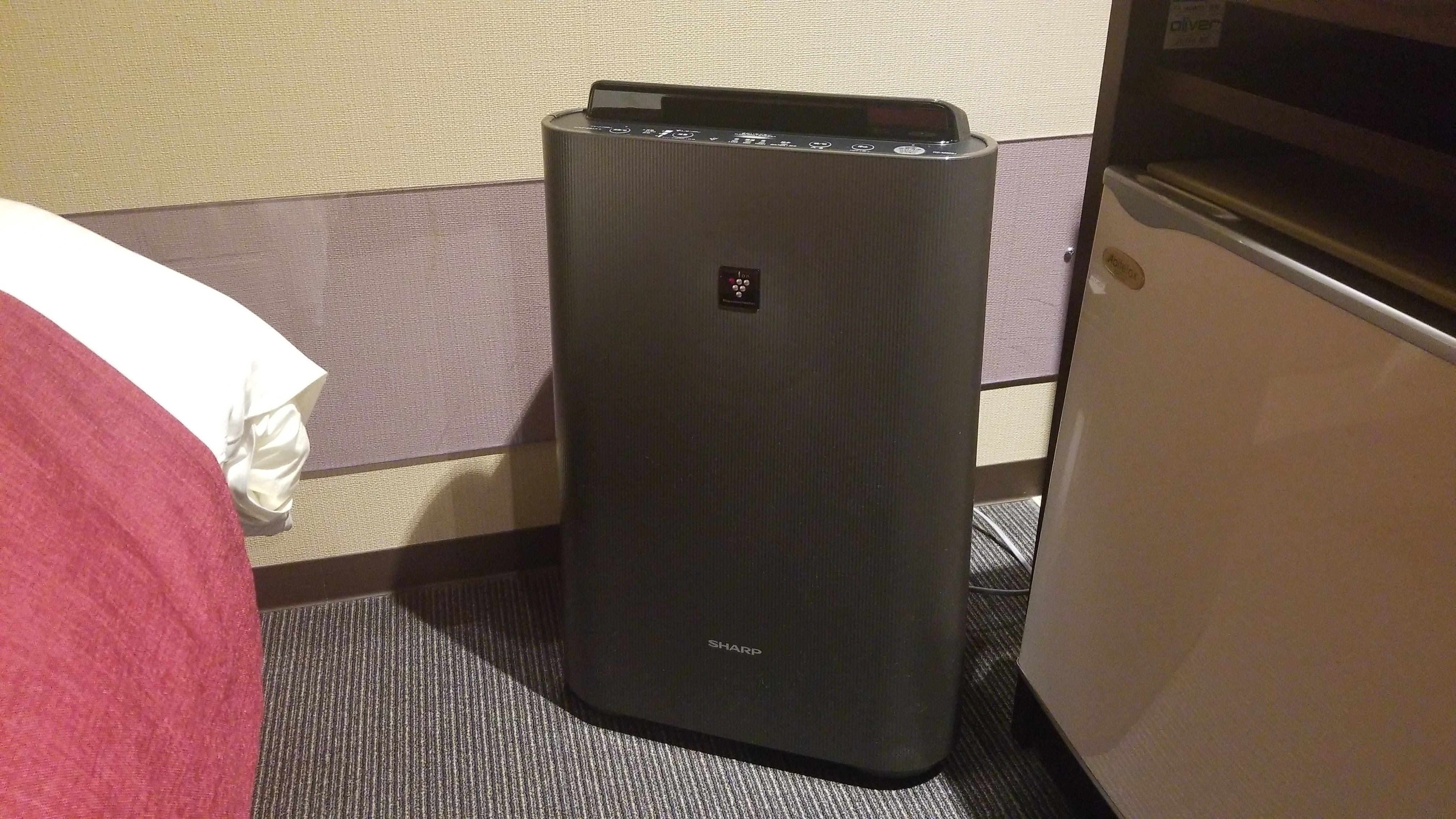 Humidifier/air purifier (guest rooms)