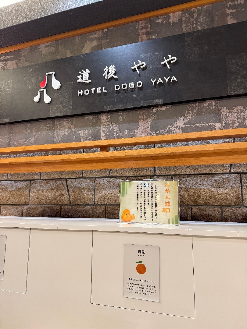 IMG_4165.jpeg