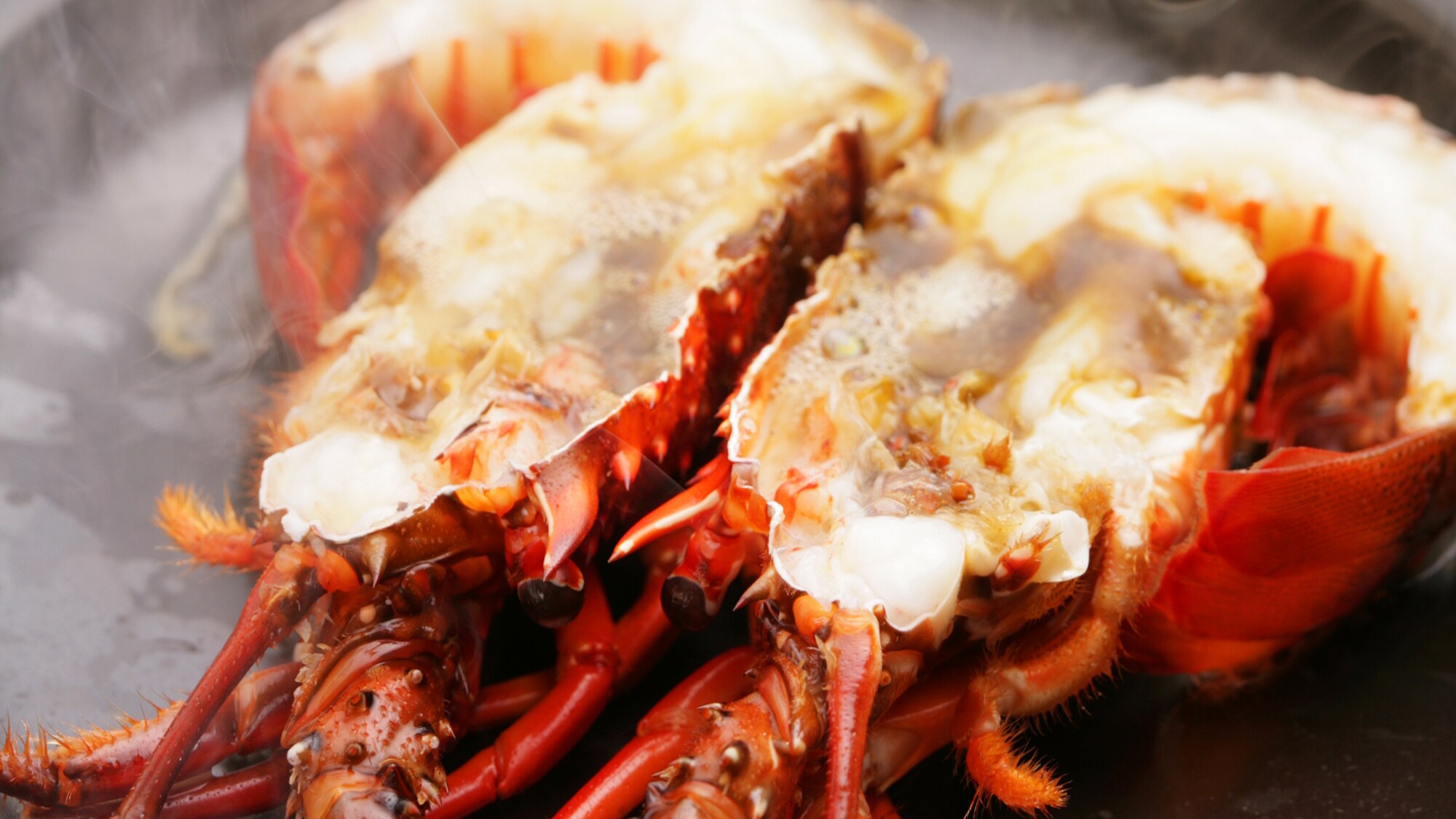 Steamed lobster on a ceramic plate