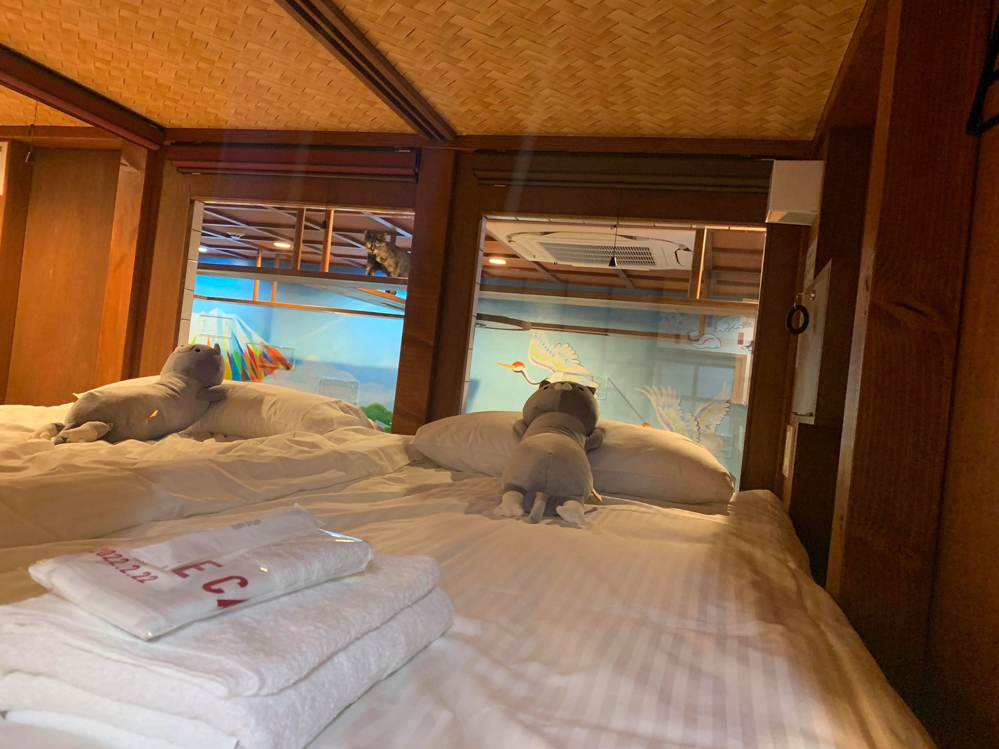 Sleeping arrangement for 2