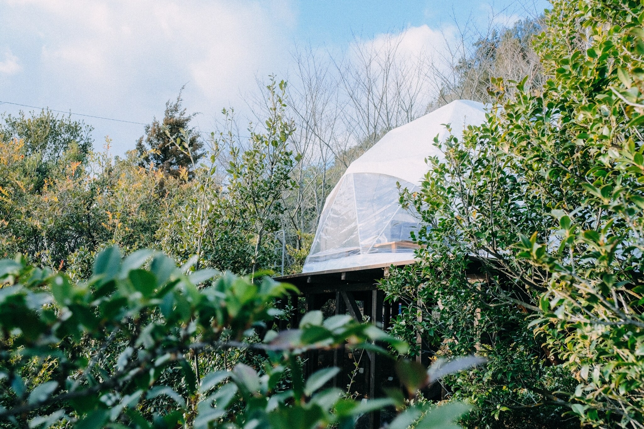 Seaside Small Glamping Dome "KUMO"