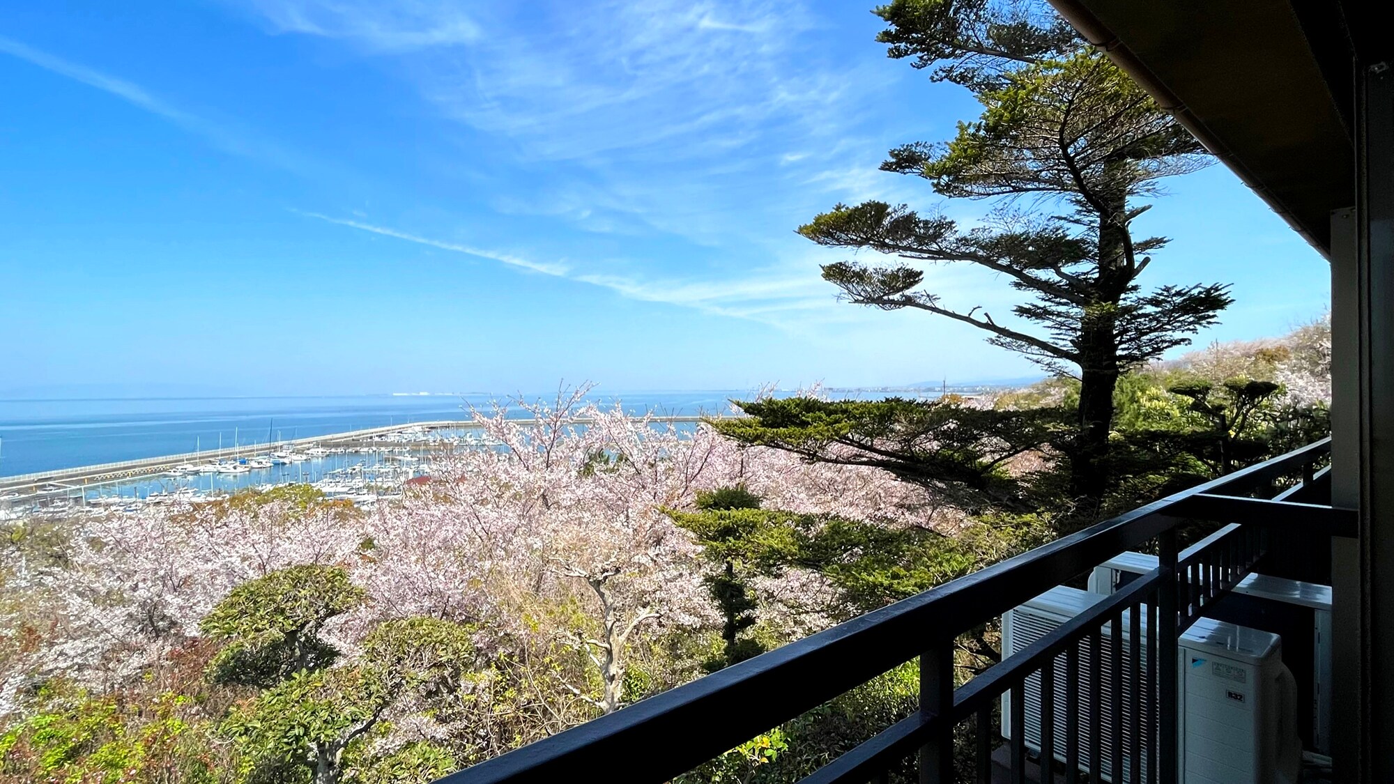 In April, you can overlook Osaka Bay and cherry blossoms from your room ^^
