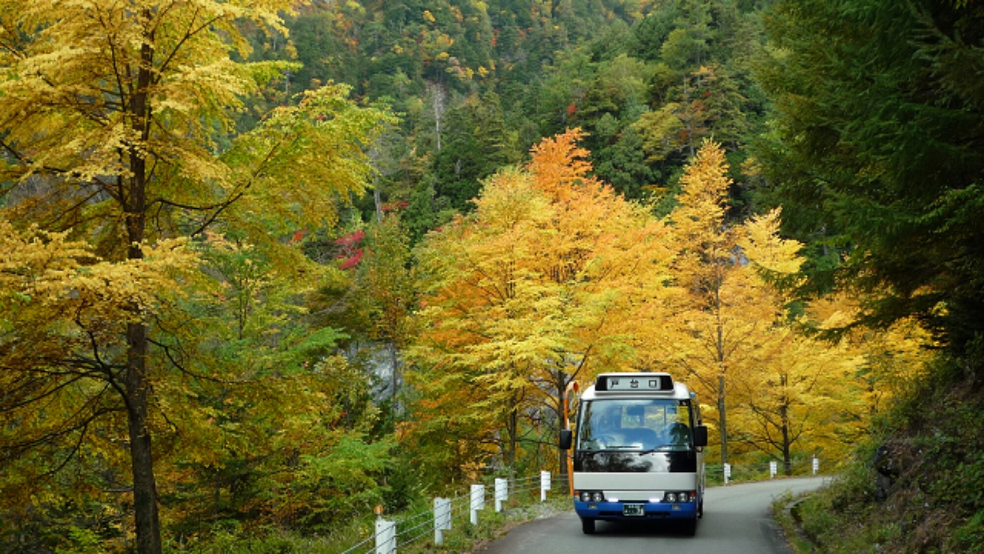 ※【南阿尔卑斯森林道路巴士】从东大公园开往北泽岭。请利用它攀登千叠岳等人气百座名山。
