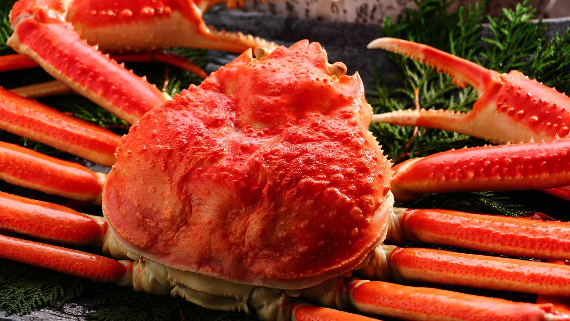 1 whole snow crab *Image for illustration purposes only