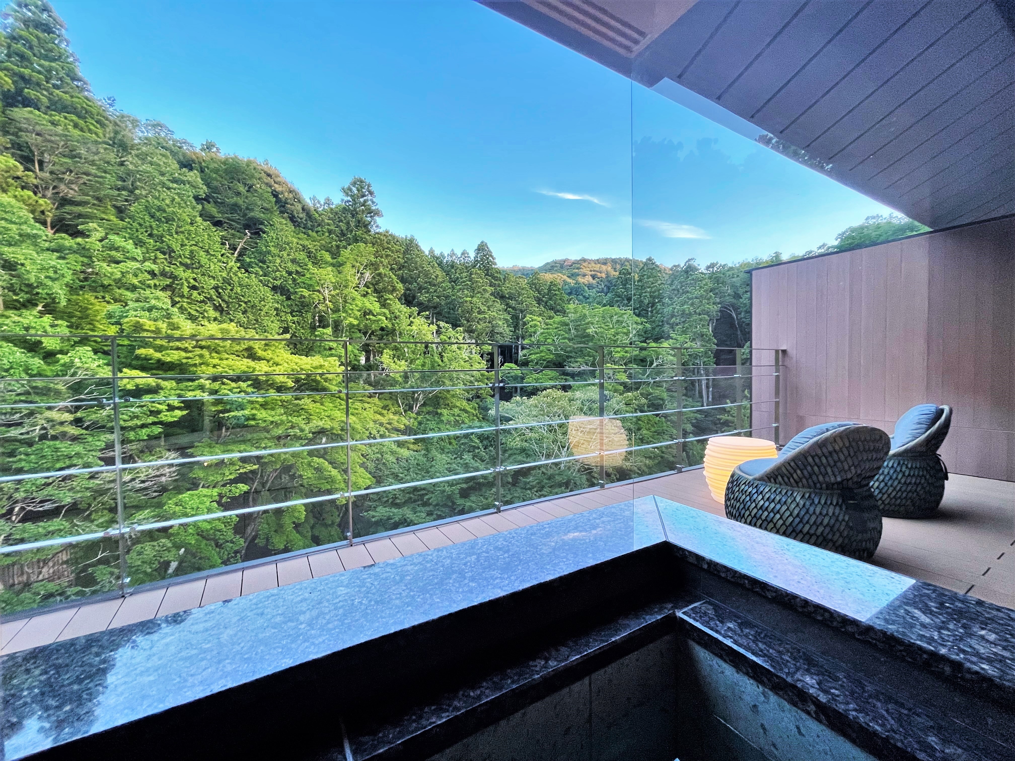 Semi-open-air hot spring & Japanese bed + guest room with terrace (view image from inside the bathroom)