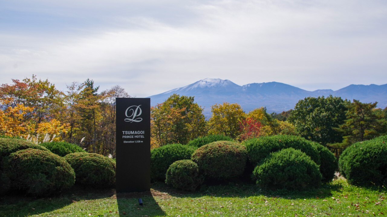 View in front of the restaurant