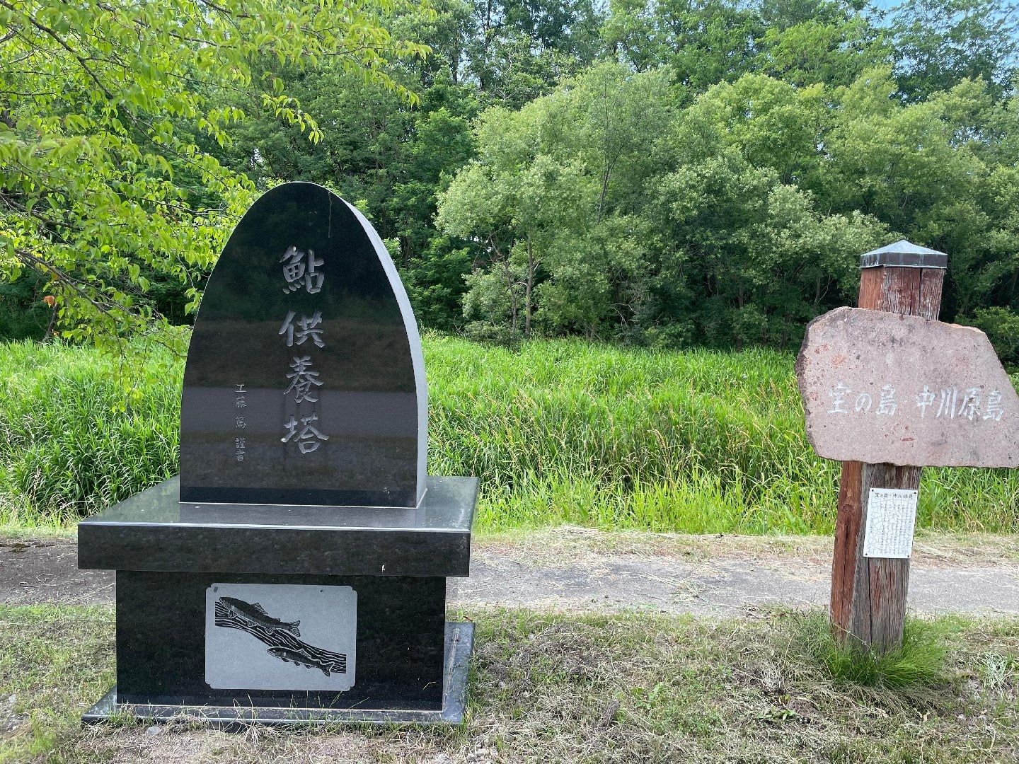 7A00C441-71E7-409F-ABE8-738F1B0E51CB.jpeg