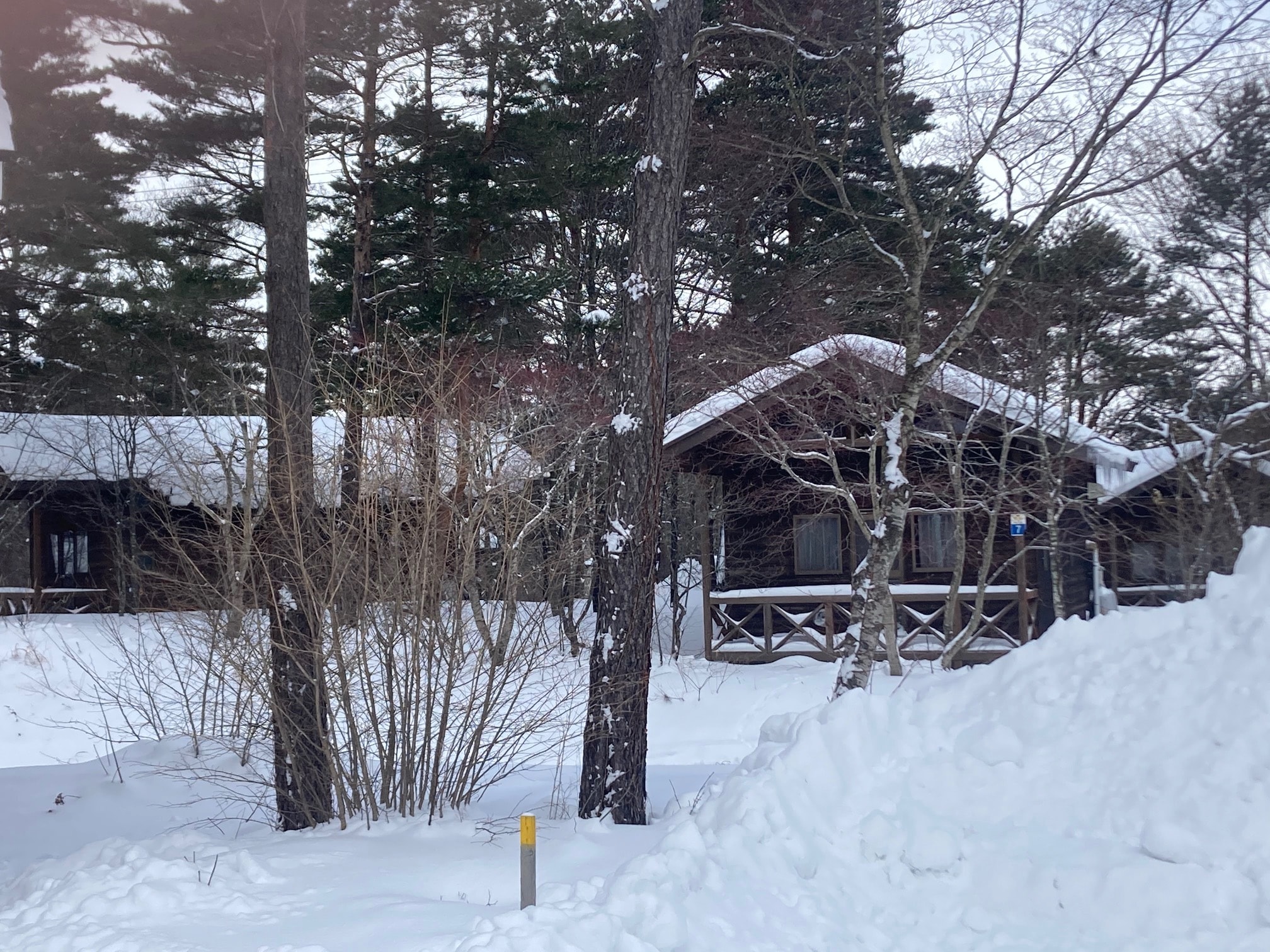 Winter cottage