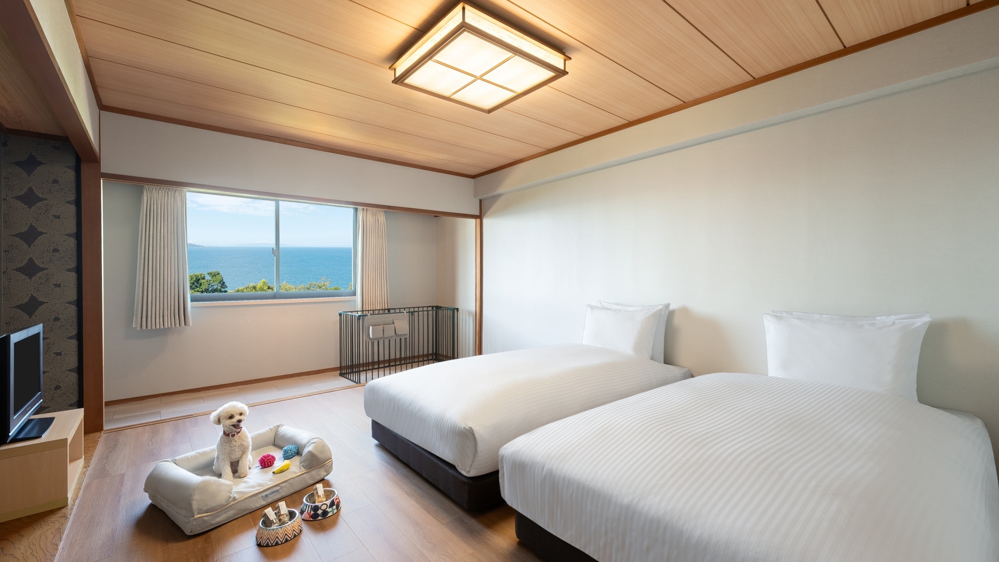 Dog-Friendly Twin Room *Photo is for illustrative purposes only. *One dog treat and one toy per room.