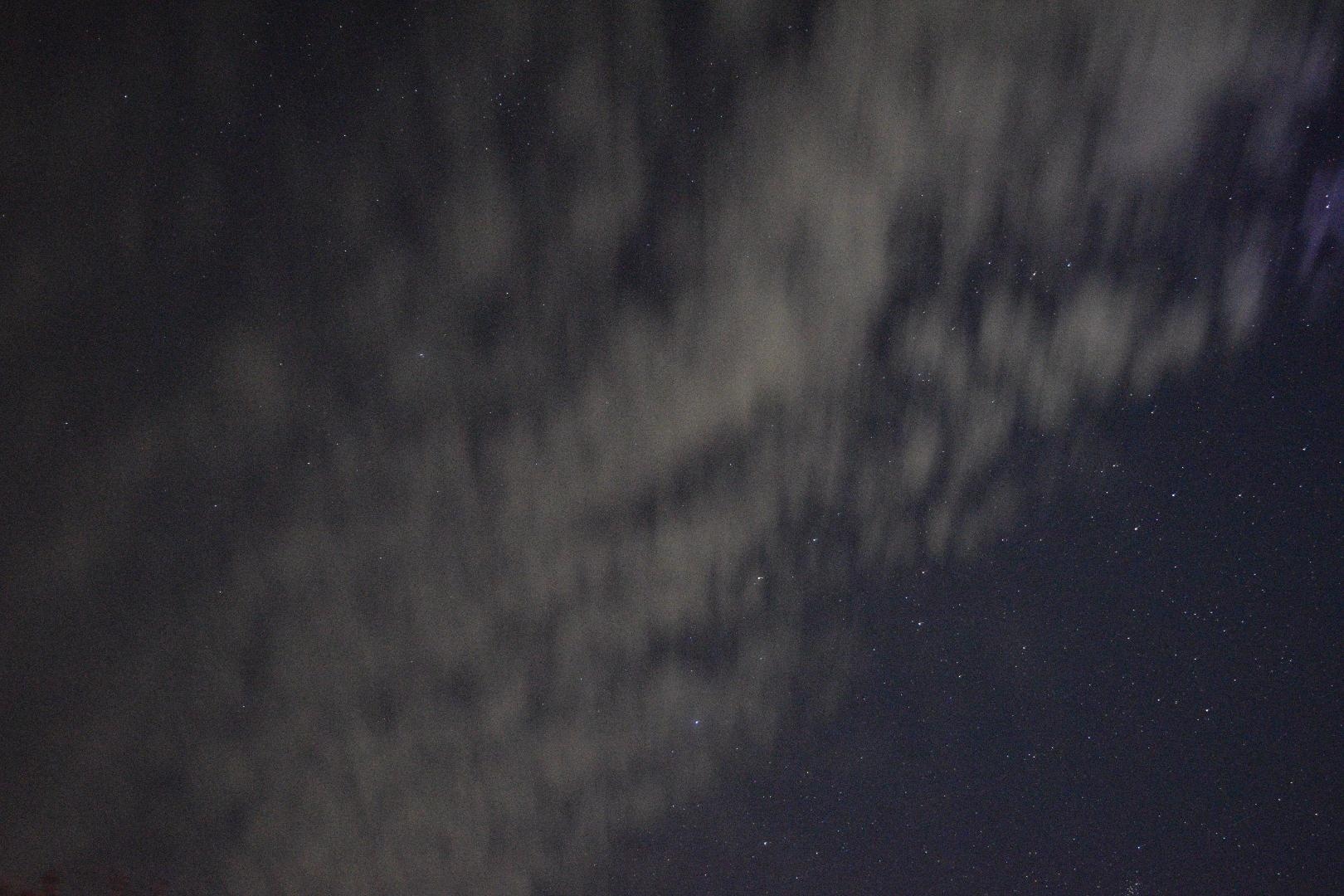 DSC_2446.JPG