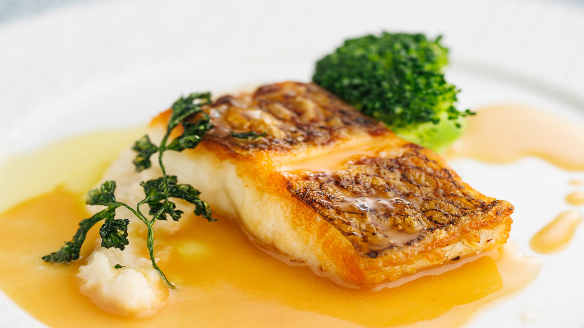 [Standard French (Winter 2025)] Grilled red sea bream in olive oil