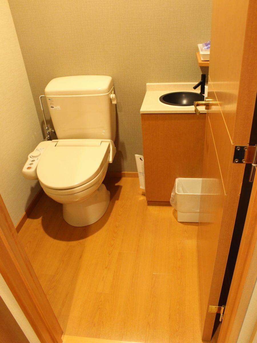 Japanese-Western style toilet