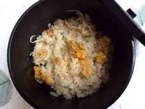 Sea urchin rice