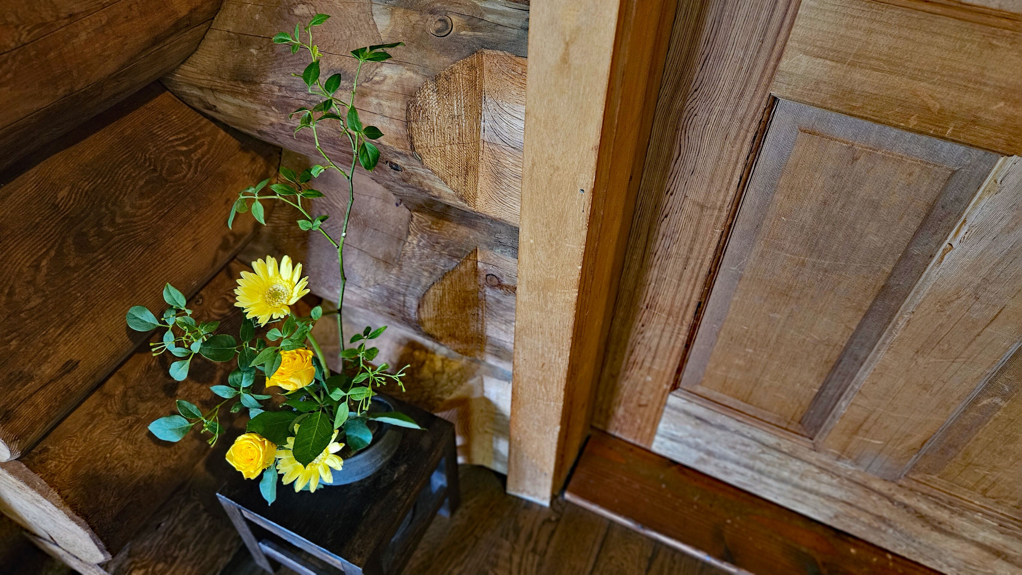 20240608 Ikebana gaya Ohara