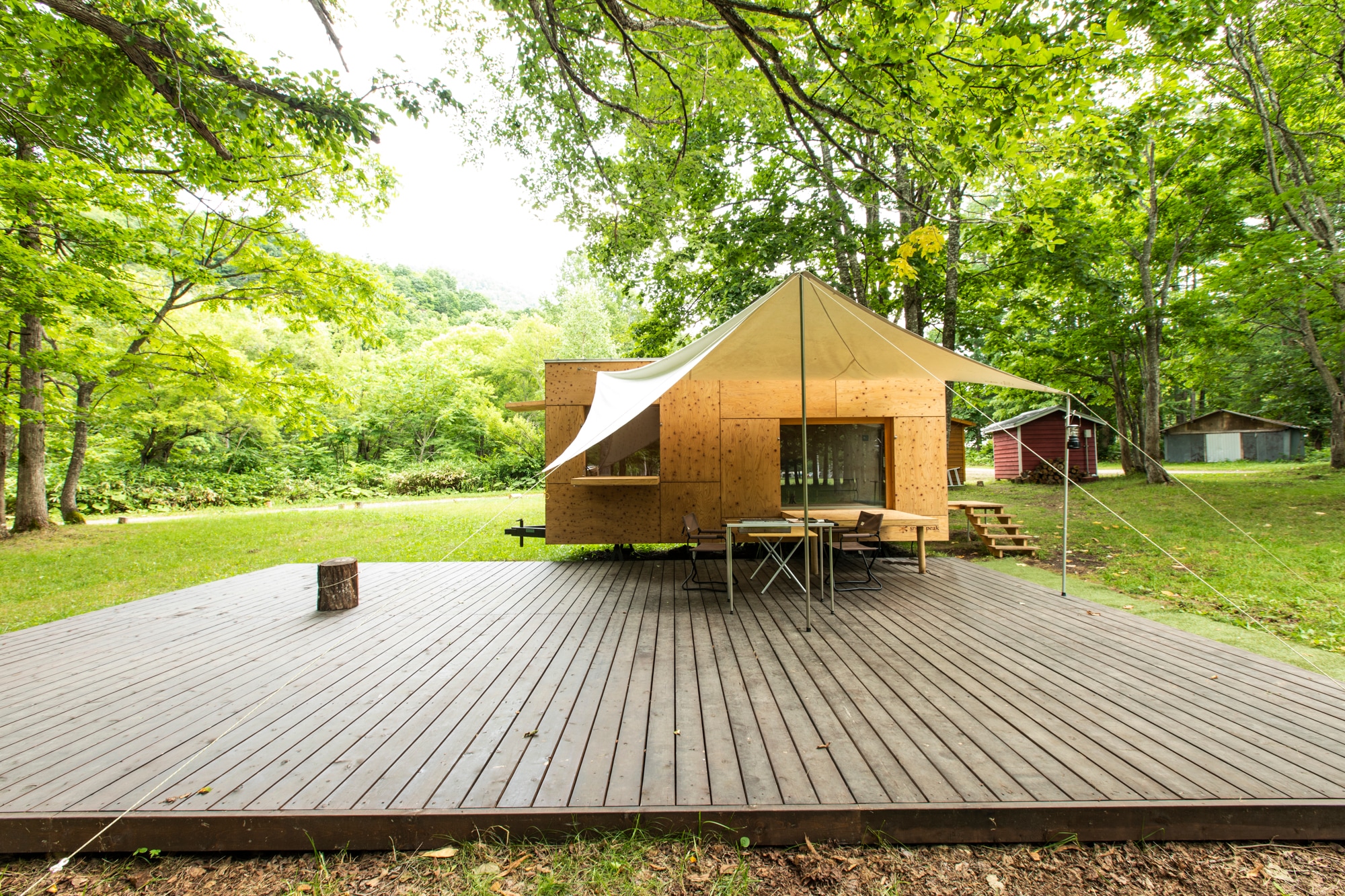 Living Box Summer 2019