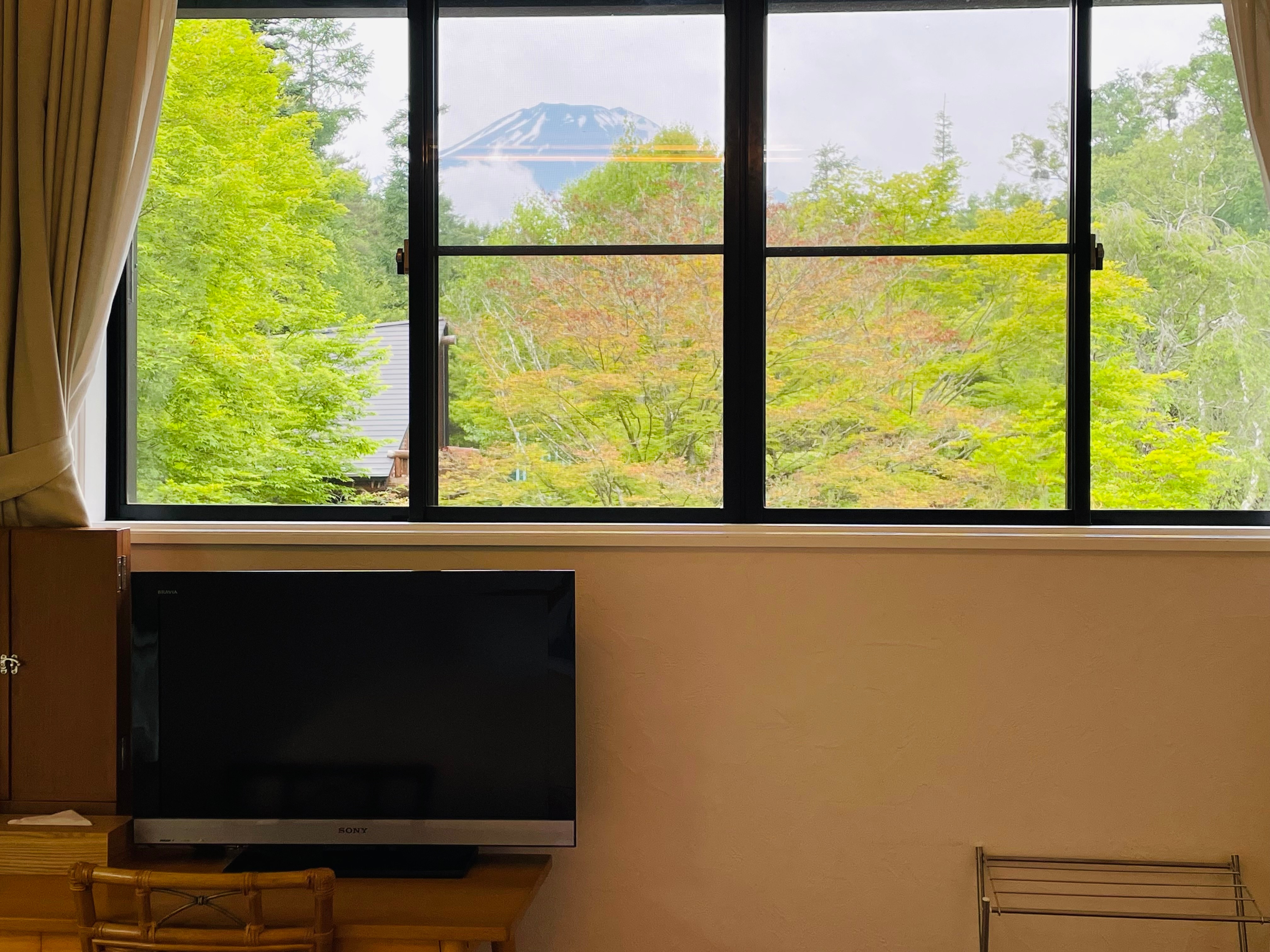 Room 201 Mount Fuji view