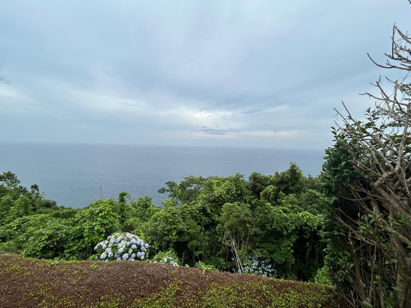9472D443-F14E-4849-BEEC-144E56274303.jpeg