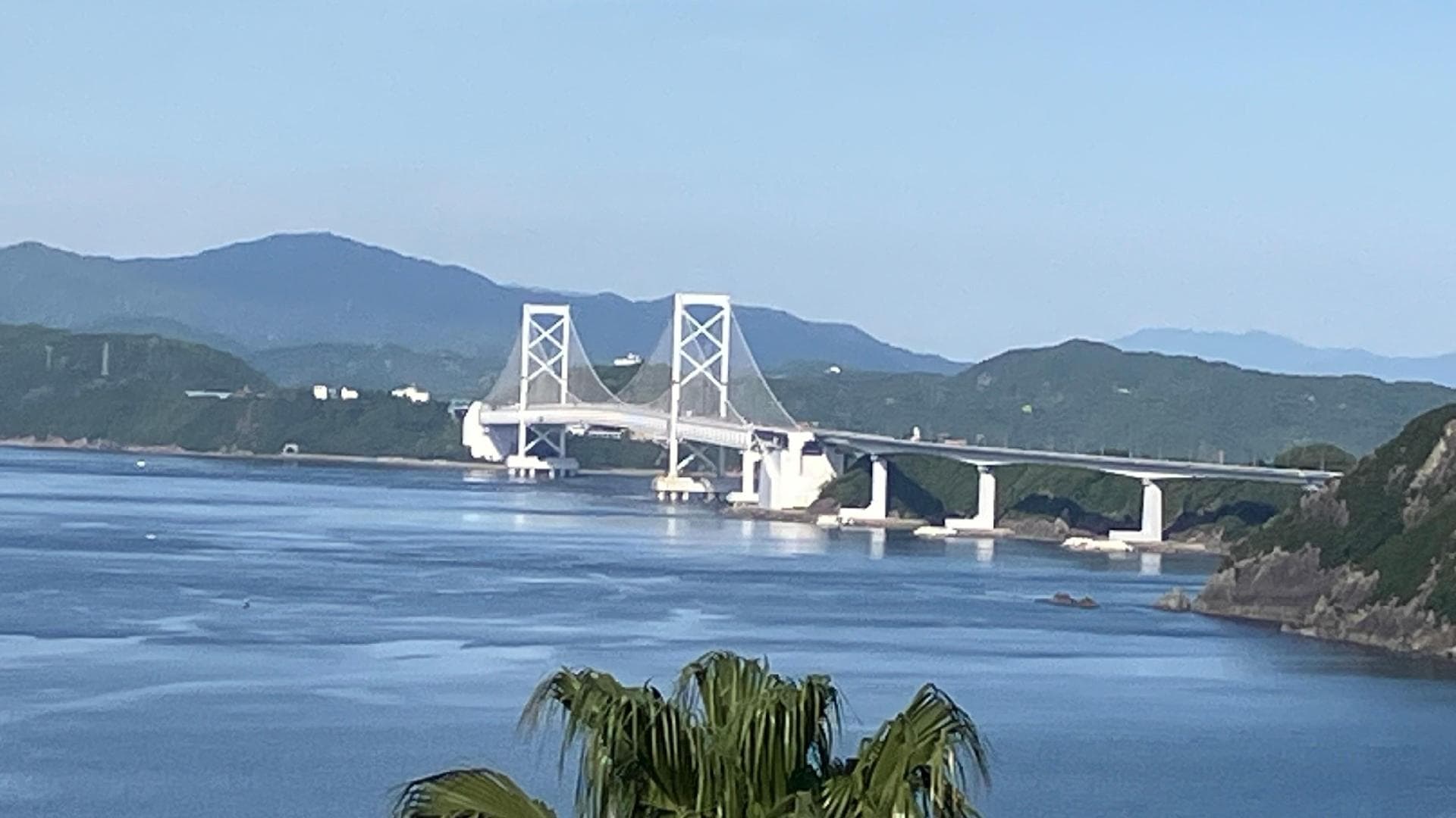 IMG_3361.jpeg