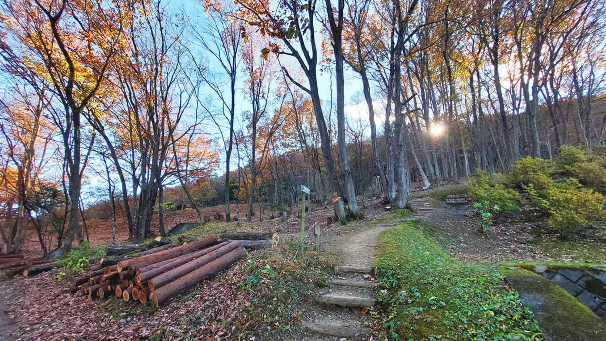 Take a 15-minute walk around the trail and enjoy a shower of fresh greenery.