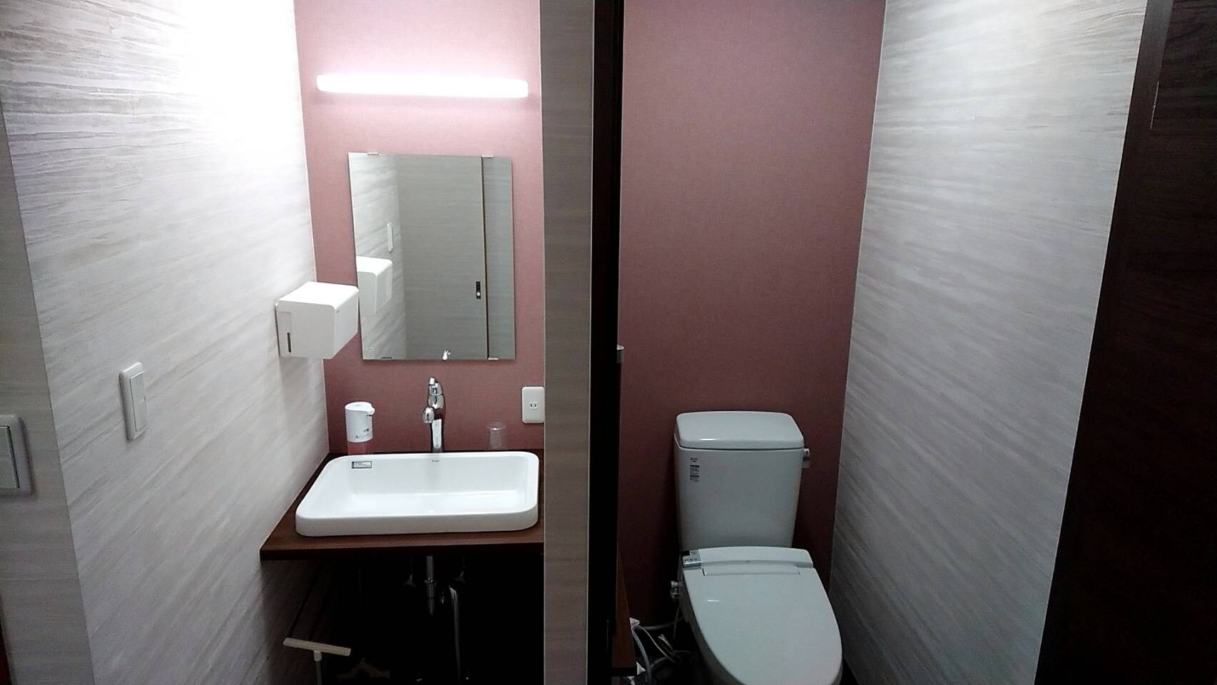 Toilet and washroom