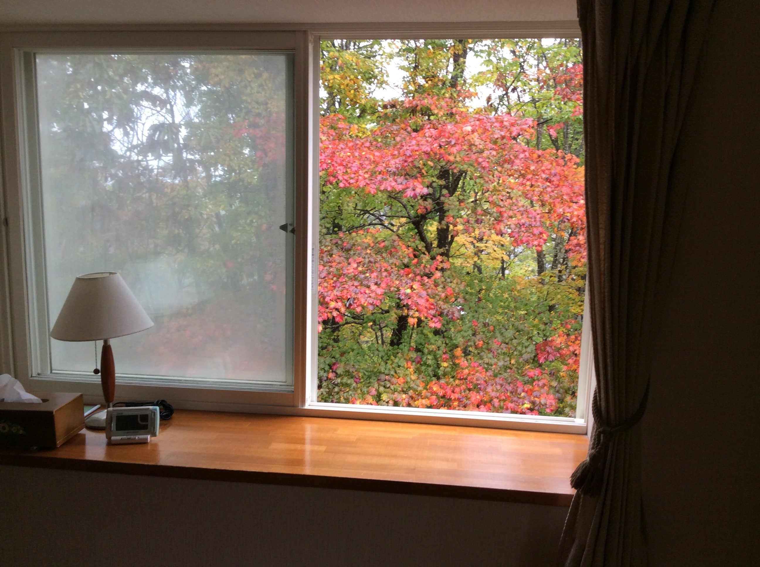 View from the Japanese-style room