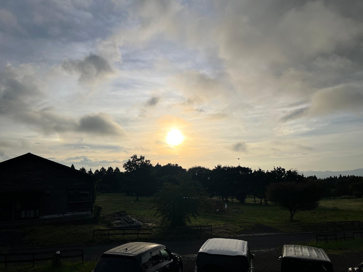 F3855476-CB07-4852-BCEA-7F35E8803E80.jpeg