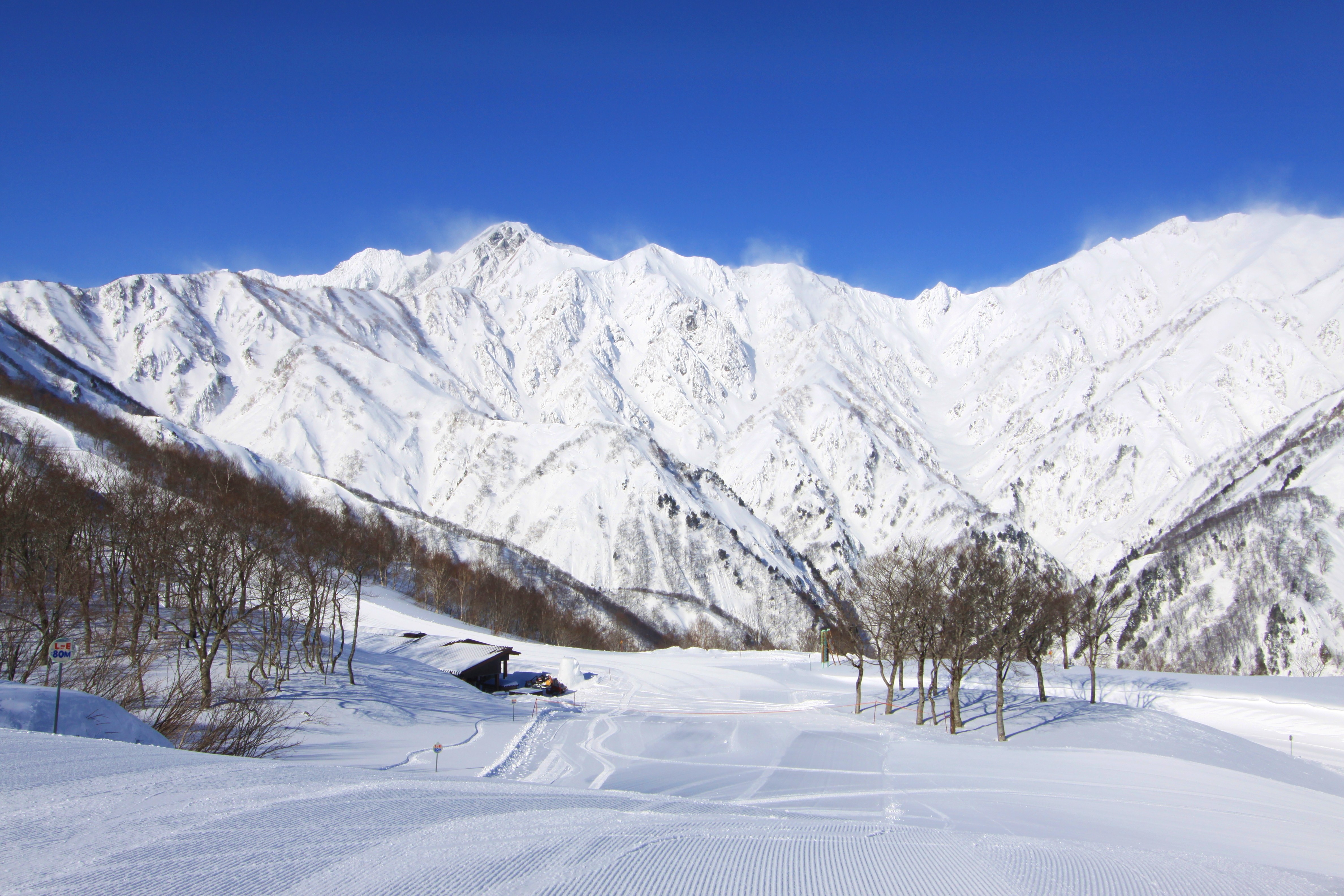 [Tháng 3] Phấn phủ Hakuba 47 Spring
