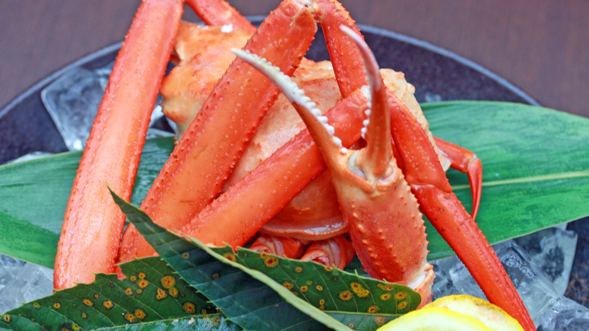 <Akita Oga Gourmet> ~ Kepiting Merah Oga