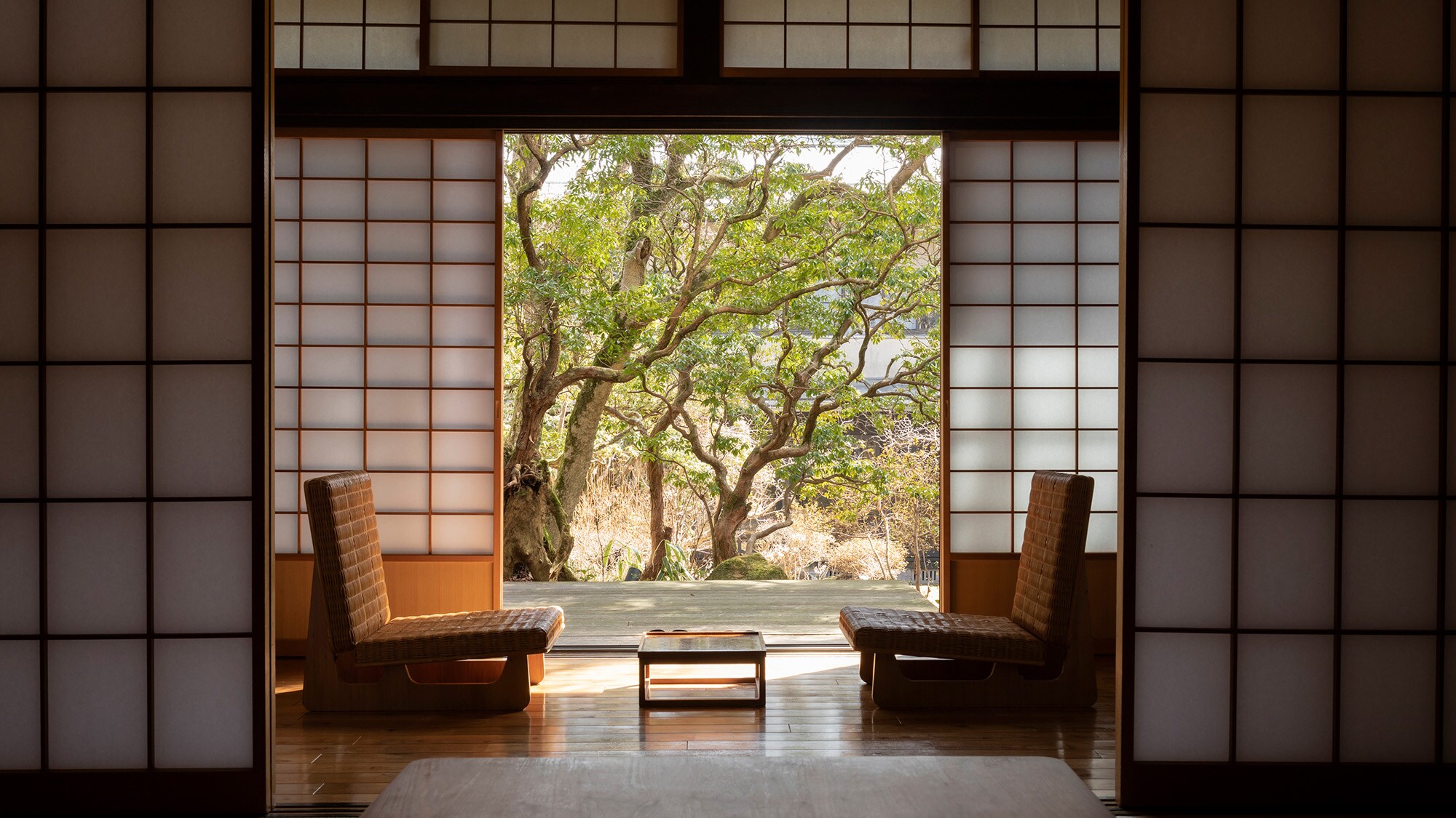 明石市本間、廣園的冬景