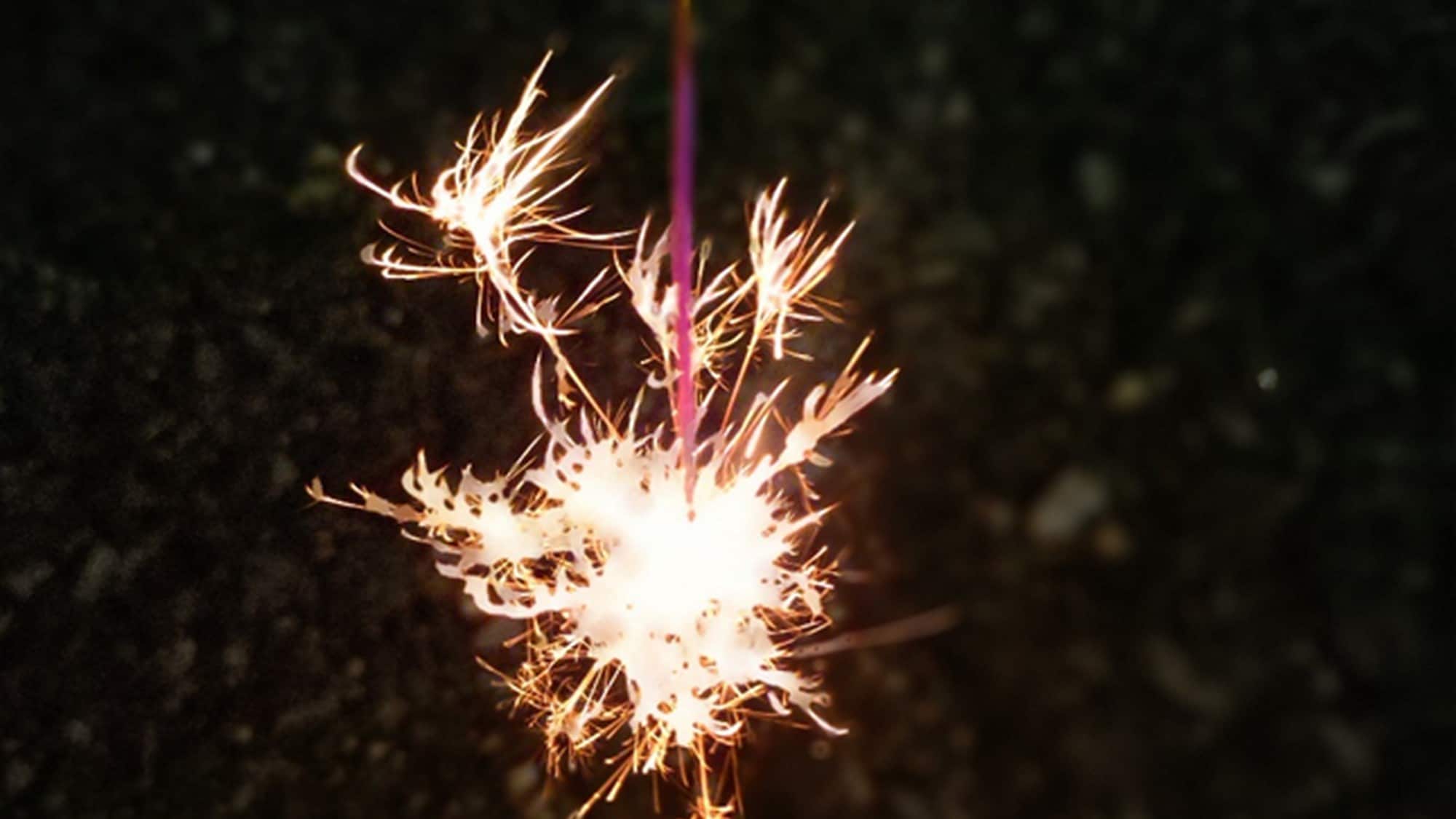 Plan perk: Handheld fireworks