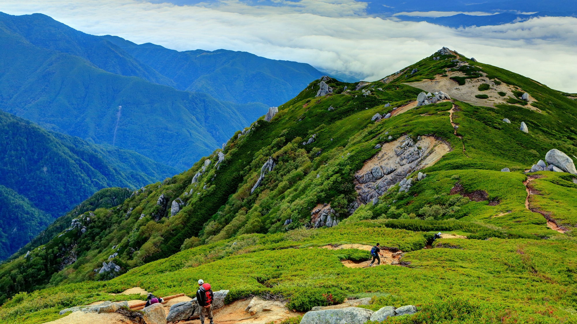 **Sightseeing in the area/Central Alps: A view of the sea of clouds in Ina Valley and the distant Yatsugatake Mountains from the descent of Mt. Utsugi