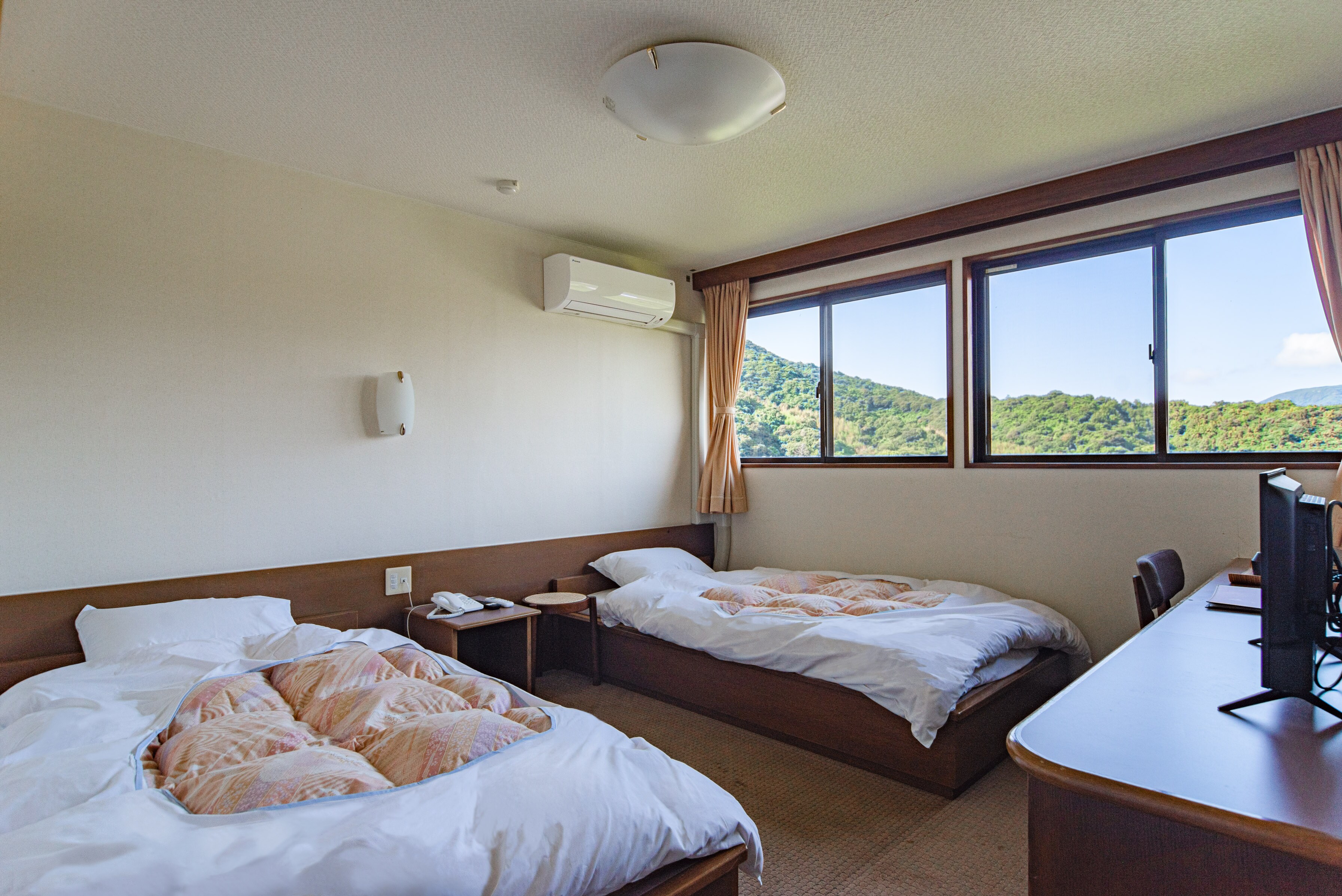 Western-style room (twin)