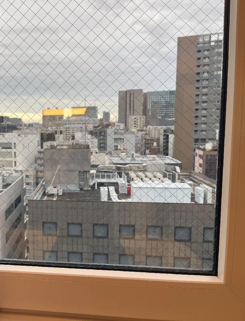 IMG_7034.jpeg