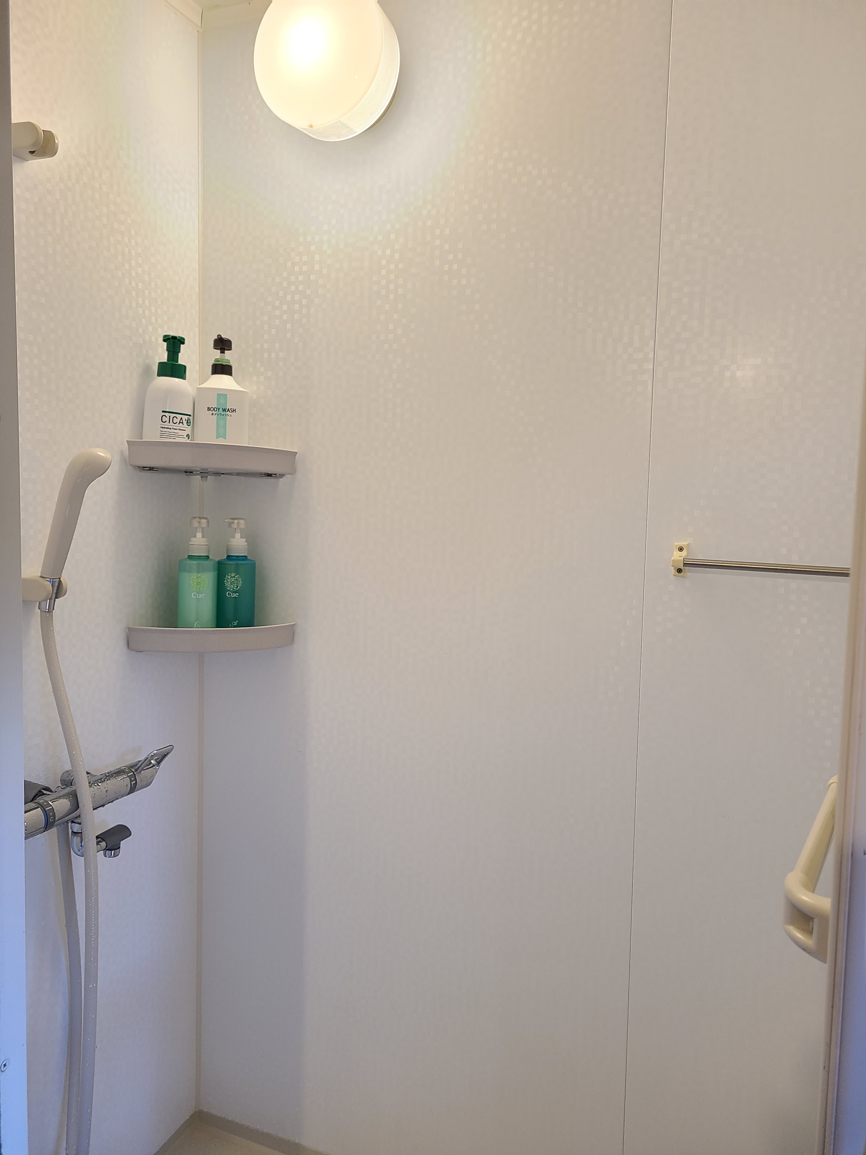 Western-style shower room
