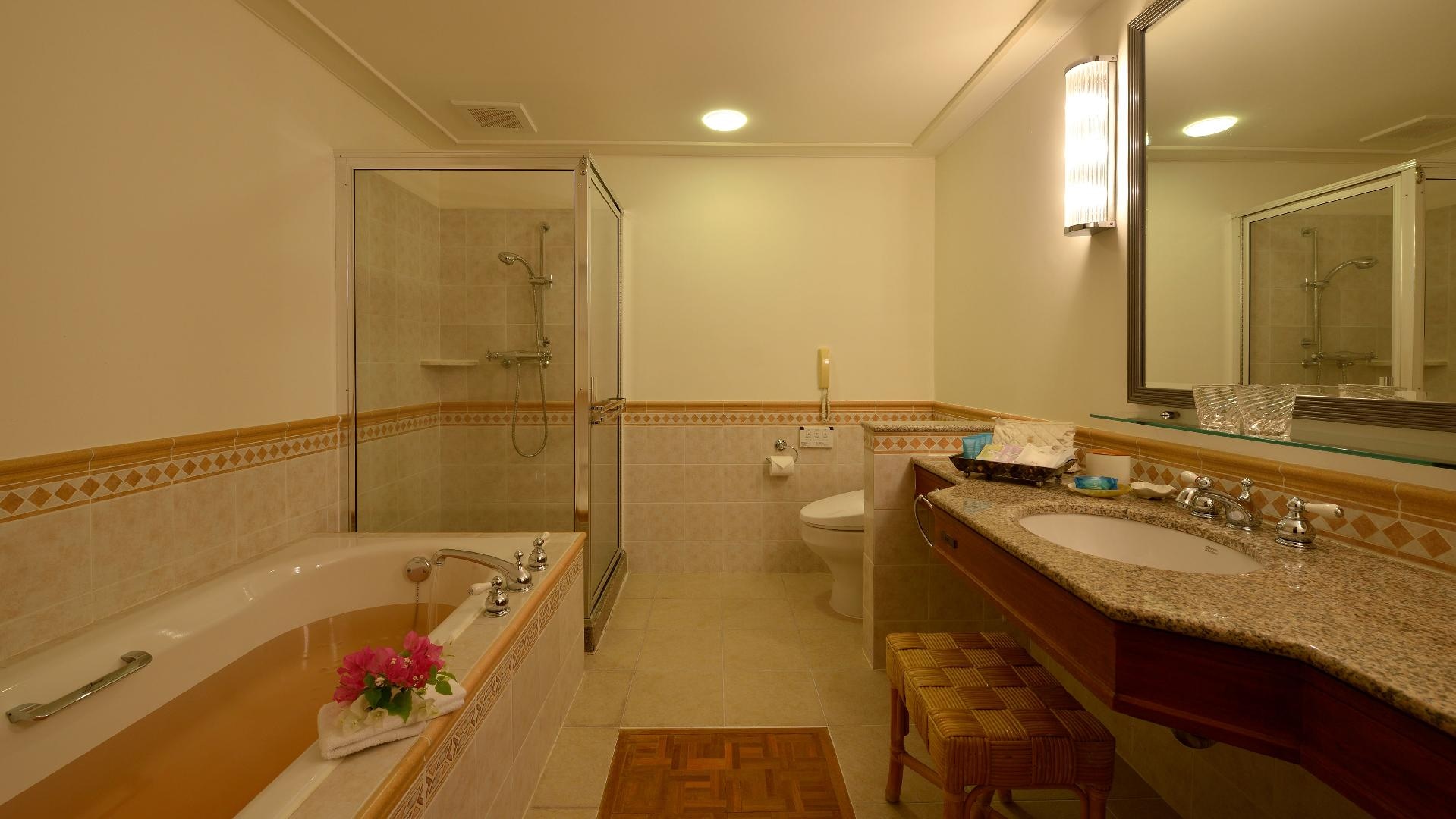 Deluxe elegant / bathroom