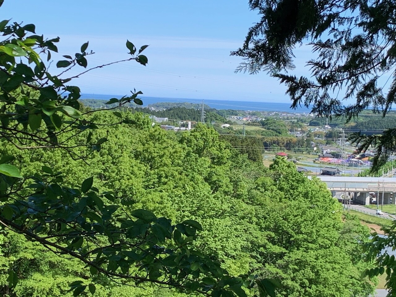 View of the Pacific Ocean from the guest rooms
