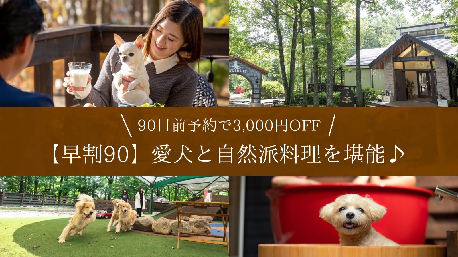 [Early bird discount 90] Get 3,000 yen off when you book early ★ Enjoy natural cuisine with your dog ♪ All rooms are fully equipped for dogs ＜Restaurant meals＞