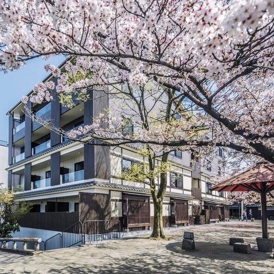 Hotel exterior and cherry blossoms