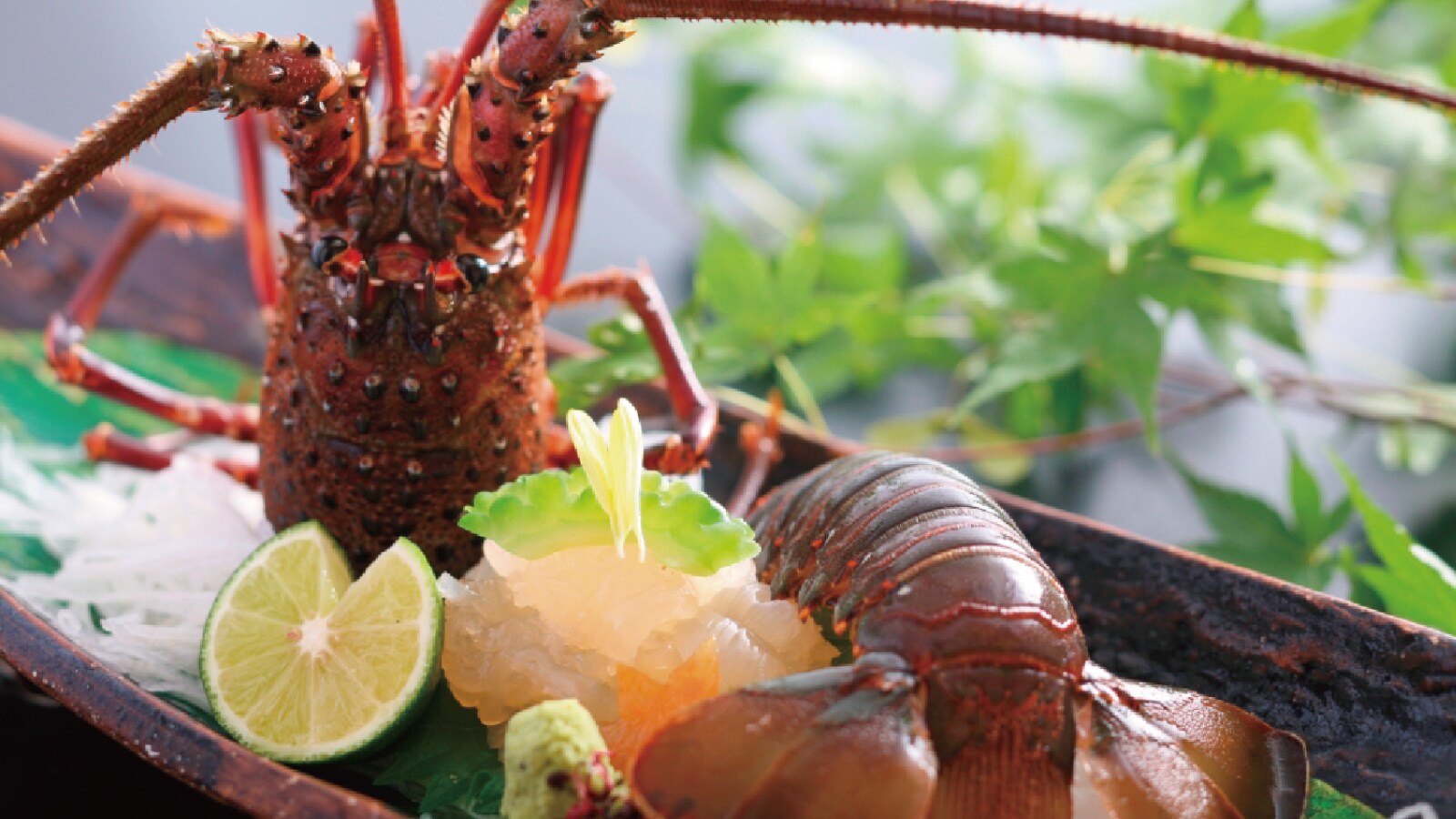Spiny lobster sashimi (example)