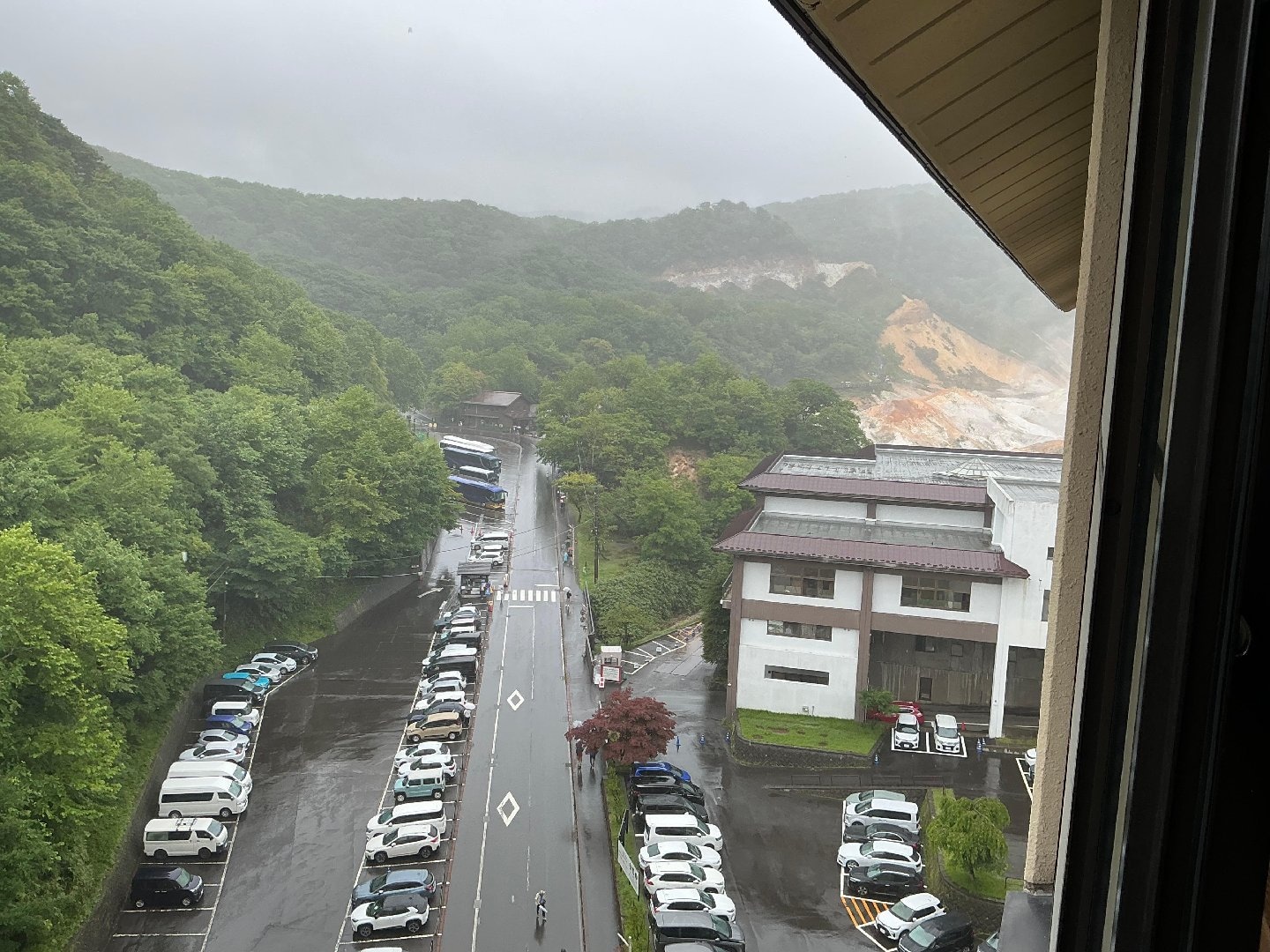 IMG_3650.jpeg
