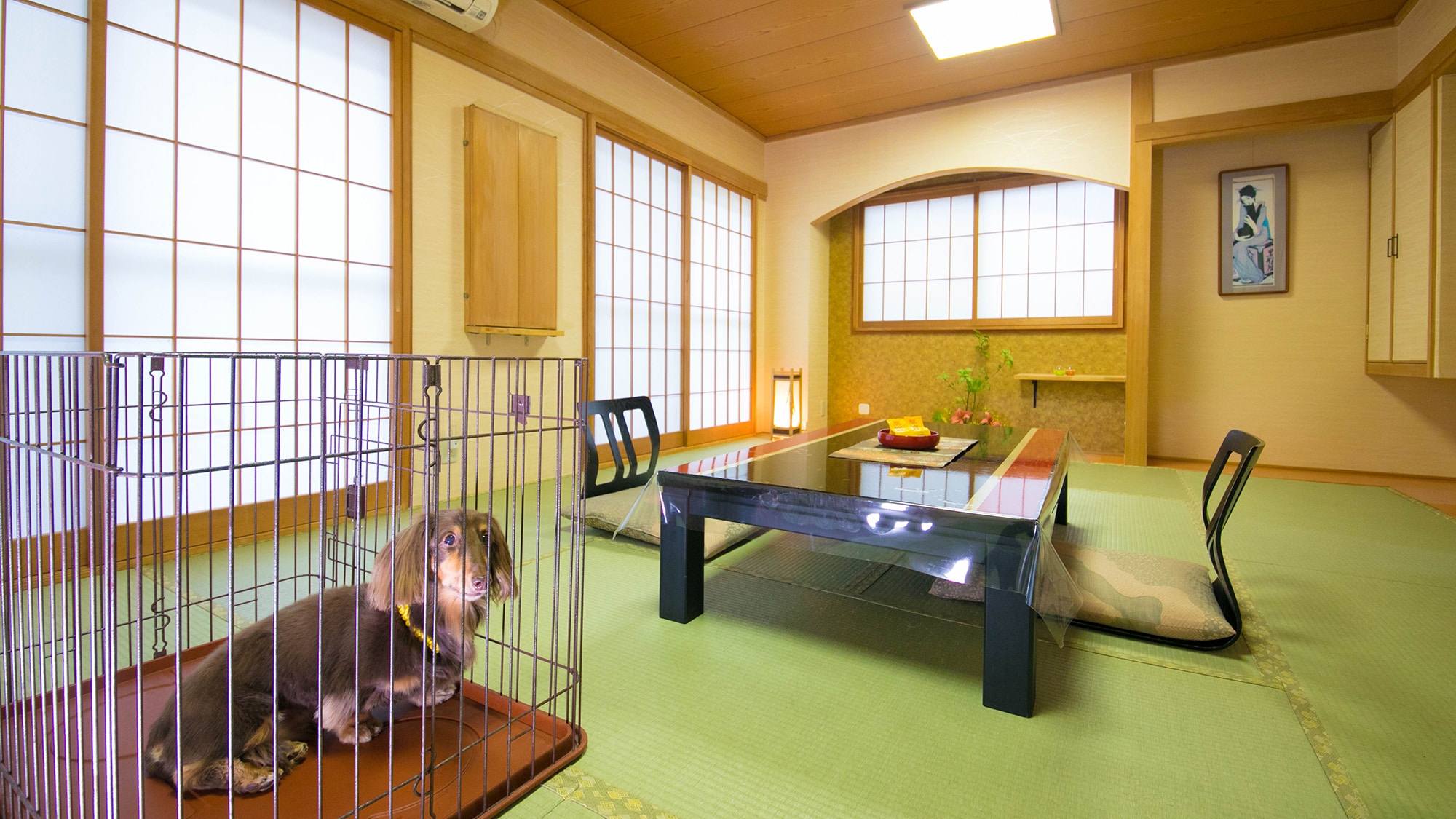 [Pet Japanese-style room]
