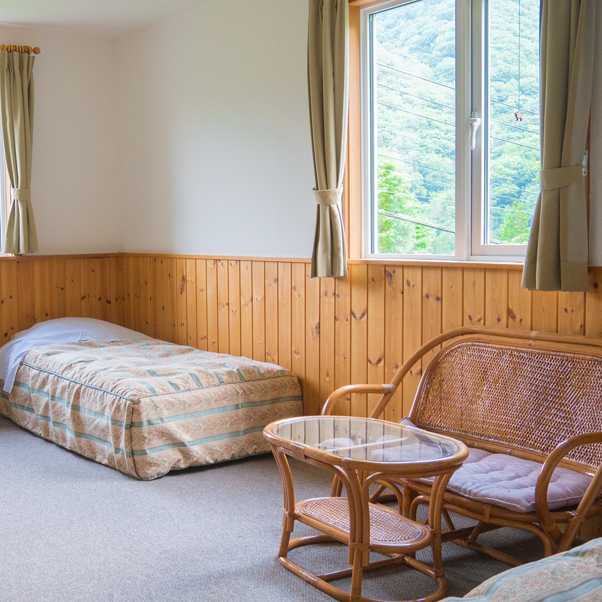 It is a comfortable room with a view of the mountains outside the window. All rooms have a toilet and a sink.