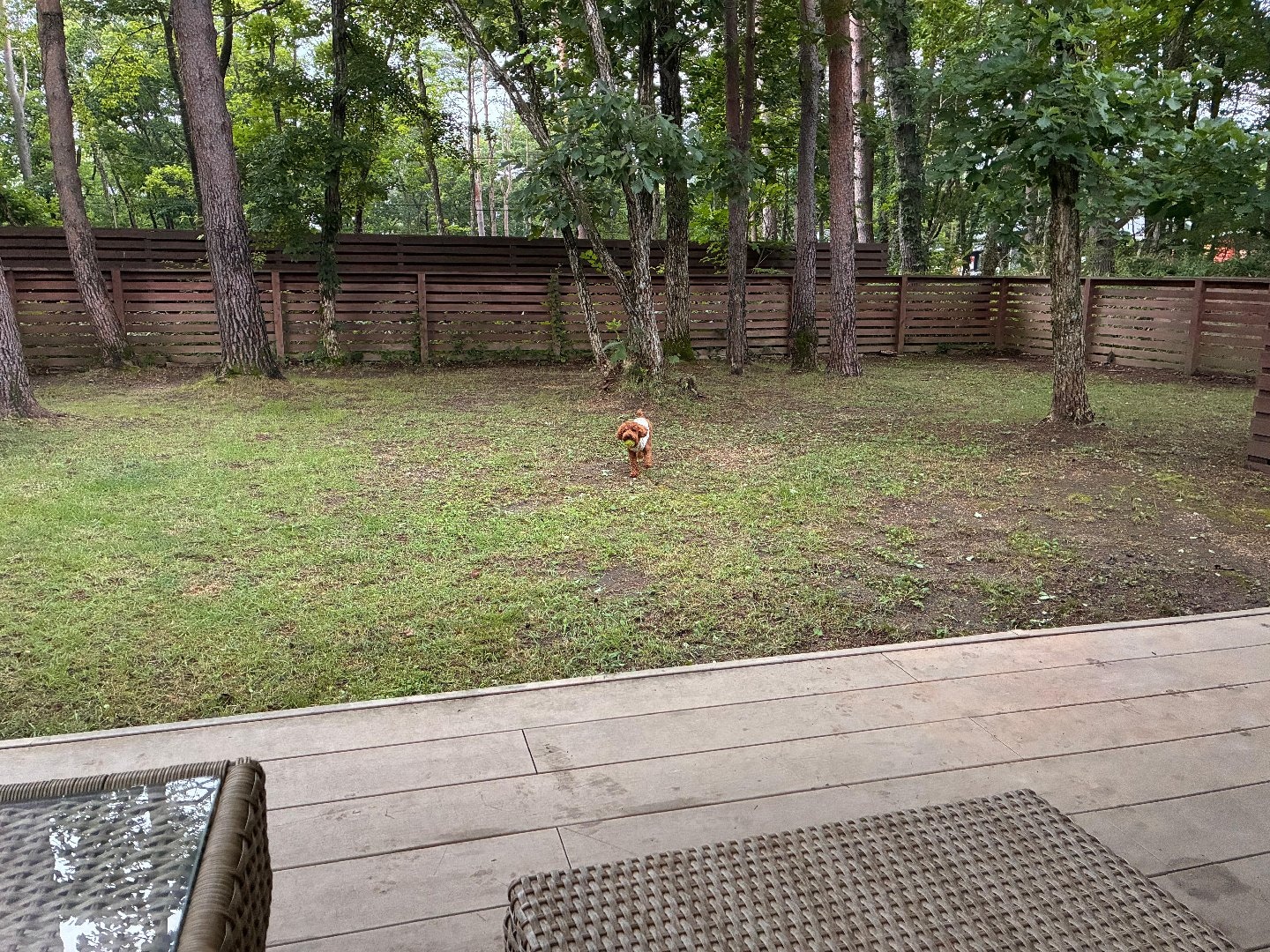 IMG_0056.jpeg